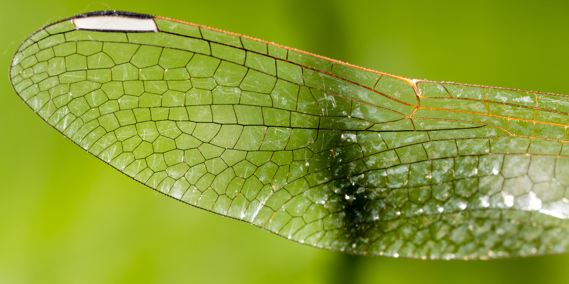 1160 x  580 (51).png